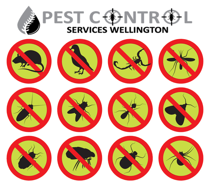 wellington pest management.jpg